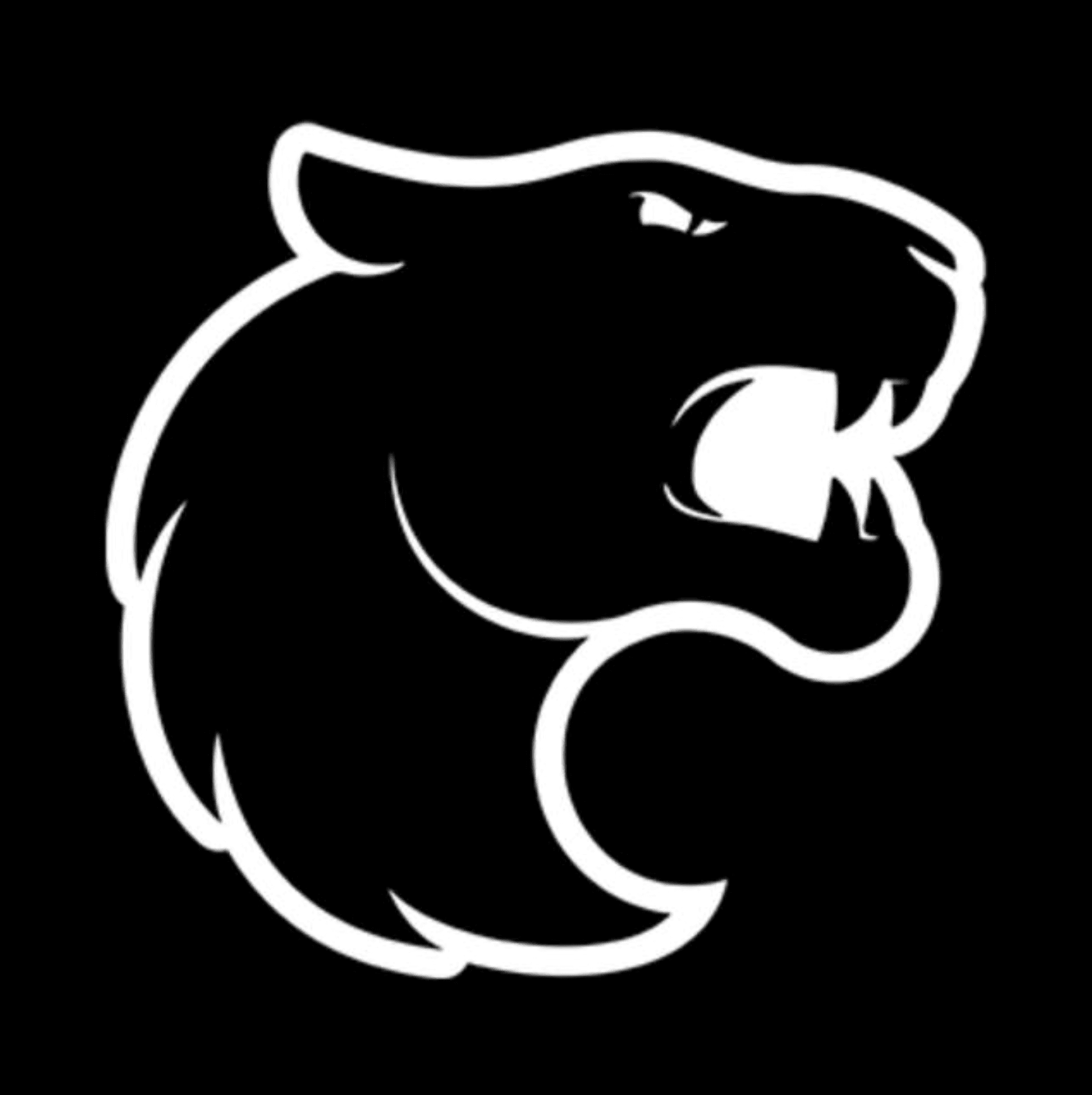 FURIA Oficial